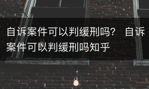 自诉案件可以判缓刑吗？ 自诉案件可以判缓刑吗知乎