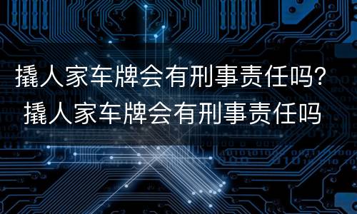 撬人家车牌会有刑事责任吗？ 撬人家车牌会有刑事责任吗
