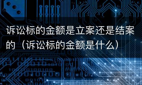 诉讼标的金额是立案还是结案的（诉讼标的金额是什么）