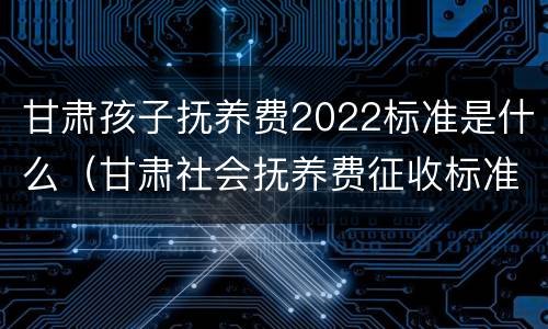 甘肃孩子抚养费2022标准是什么（甘肃社会抚养费征收标准2021）
