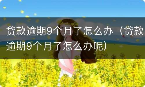 贷款逾期9个月了怎么办（贷款逾期9个月了怎么办呢）