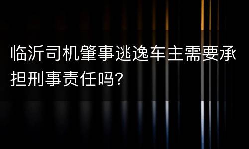 临沂司机肇事逃逸车主需要承担刑事责任吗？