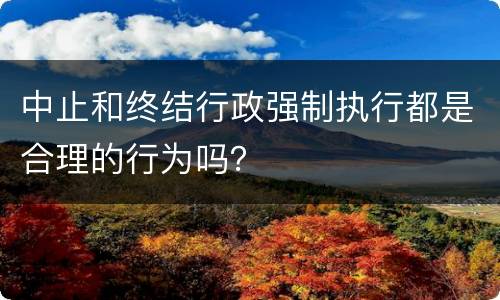 中止和终结行政强制执行都是合理的行为吗？