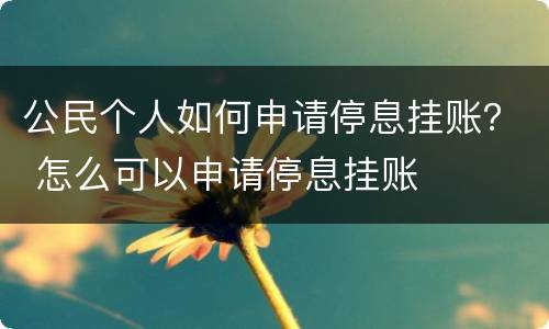 公民个人如何申请停息挂账？ 怎么可以申请停息挂账