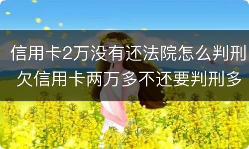 信用卡2万没有还法院怎么判刑 欠信用卡两万多不还要判刑多久
