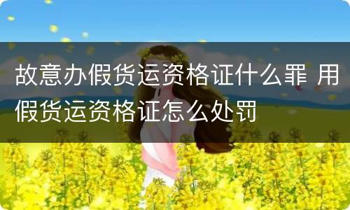 故意办假货运资格证什么罪 用假货运资格证怎么处罚