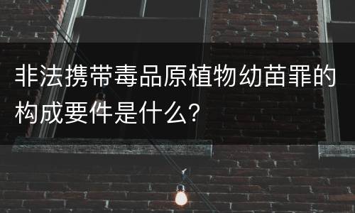 非法携带毒品原植物幼苗罪的构成要件是什么？