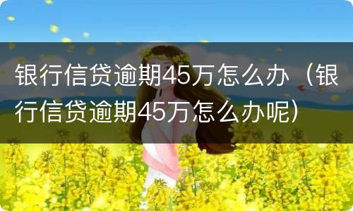 银行信贷逾期45万怎么办（银行信贷逾期45万怎么办呢）