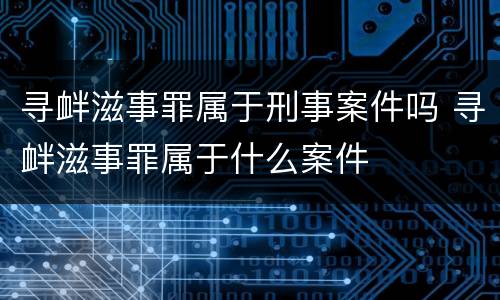 寻衅滋事罪属于刑事案件吗 寻衅滋事罪属于什么案件