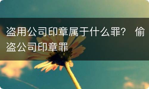 盗用公司印章属于什么罪？ 偷盗公司印章罪