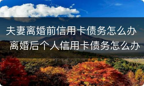 夫妻离婚前信用卡债务怎么办 离婚后个人信用卡债务怎么办