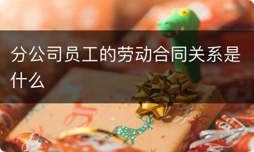 分公司员工的劳动合同关系是什么
