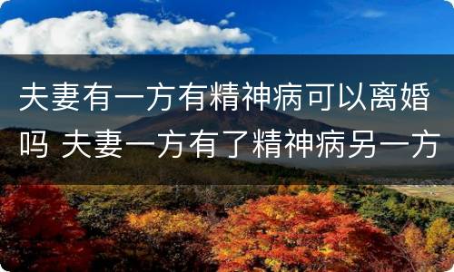 夫妻有一方有精神病可以离婚吗 夫妻一方有了精神病另一方能提离婚吗?