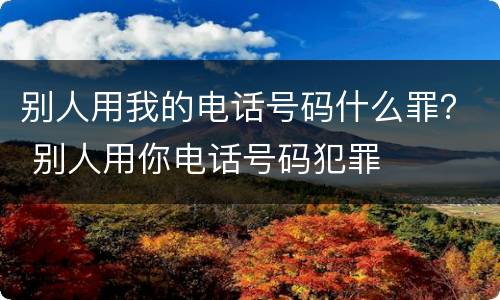 别人用我的电话号码什么罪？ 别人用你电话号码犯罪