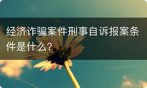 经济诈骗案件刑事自诉报案条件是什么？