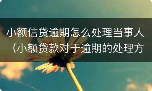 小额信贷逾期怎么处理当事人（小额贷款对于逾期的处理方式）