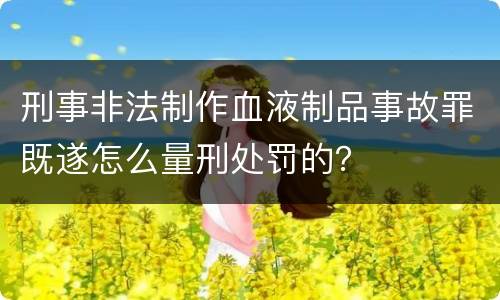 刑事非法制作血液制品事故罪既遂怎么量刑处罚的？