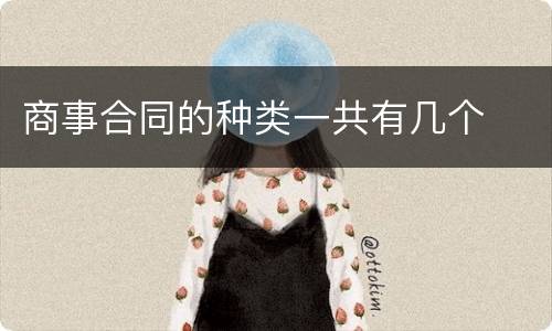 商事合同的种类一共有几个