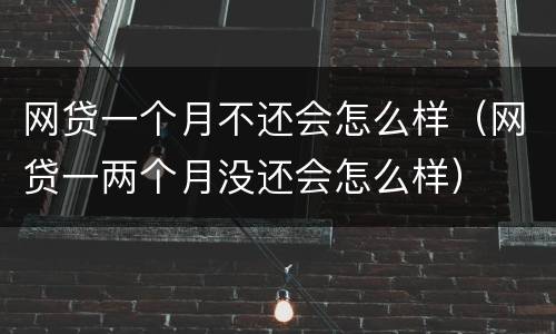 网贷一个月不还会怎么样（网贷一两个月没还会怎么样）