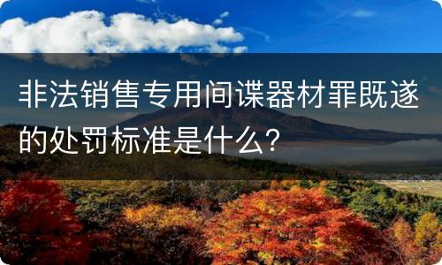 非法销售专用间谍器材罪既遂的处罚标准是什么？