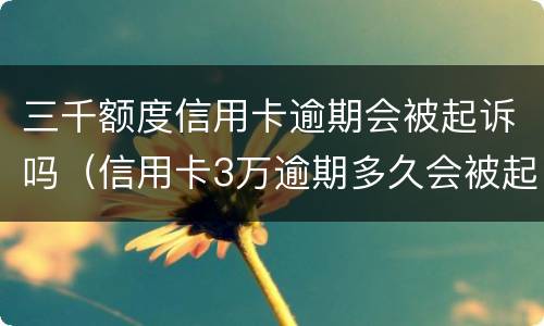 三千额度信用卡逾期会被起诉吗（信用卡3万逾期多久会被起诉）