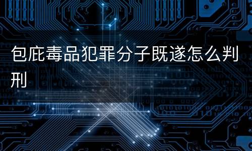 包庇毒品犯罪分子既遂怎么判刑