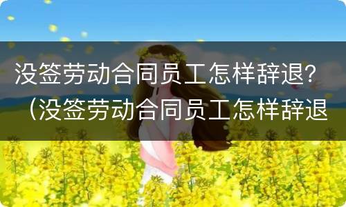没签劳动合同员工怎样辞退？（没签劳动合同员工怎样辞退赔偿）