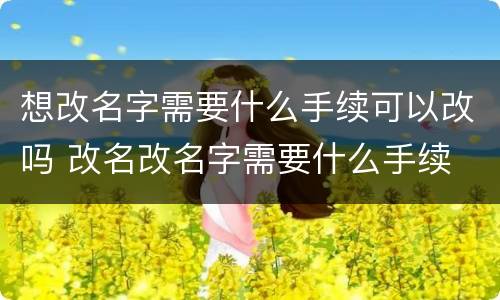 想改名字需要什么手续可以改吗 改名改名字需要什么手续