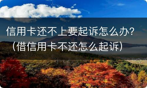 信用卡还不上要起诉怎么办？（借信用卡不还怎么起诉）