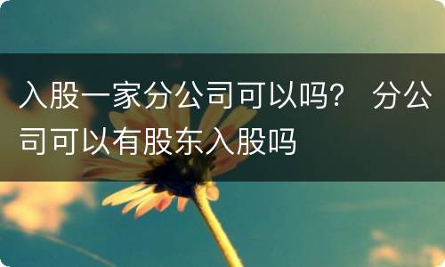 入股一家分公司可以吗？ 分公司可以有股东入股吗