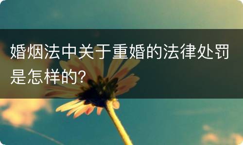 婚烟法中关于重婚的法律处罚是怎样的？