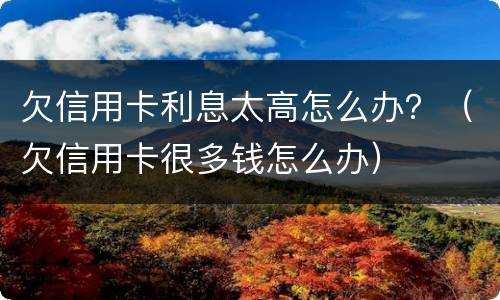 欠信用卡利息太高怎么办？（欠信用卡很多钱怎么办）