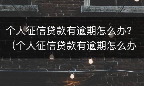 个人征信贷款有逾期怎么办？（个人征信贷款有逾期怎么办理）