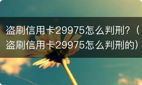 盗刷信用卡29975怎么判刑?（盗刷信用卡29975怎么判刑的）