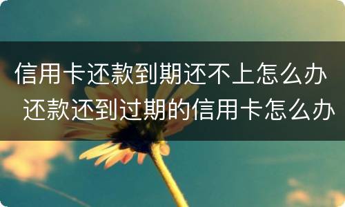 信用卡还款到期还不上怎么办 还款还到过期的信用卡怎么办