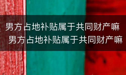 男方占地补贴属于共同财产嘛 男方占地补贴属于共同财产嘛怎么算