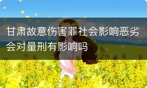 甘肃故意伤害罪社会影响恶劣会对量刑有影响吗